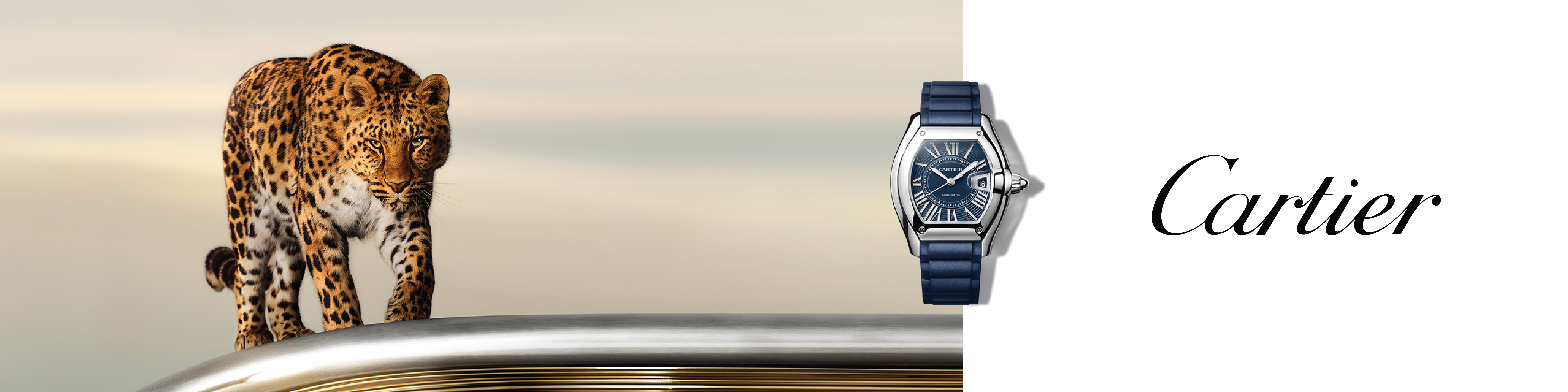 Cartier Watches
