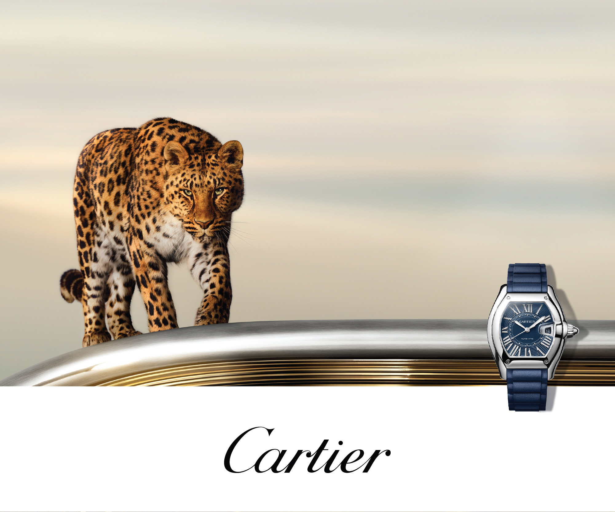 Cartier Watches