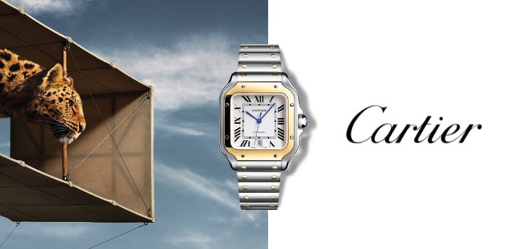 Cartier Cartier