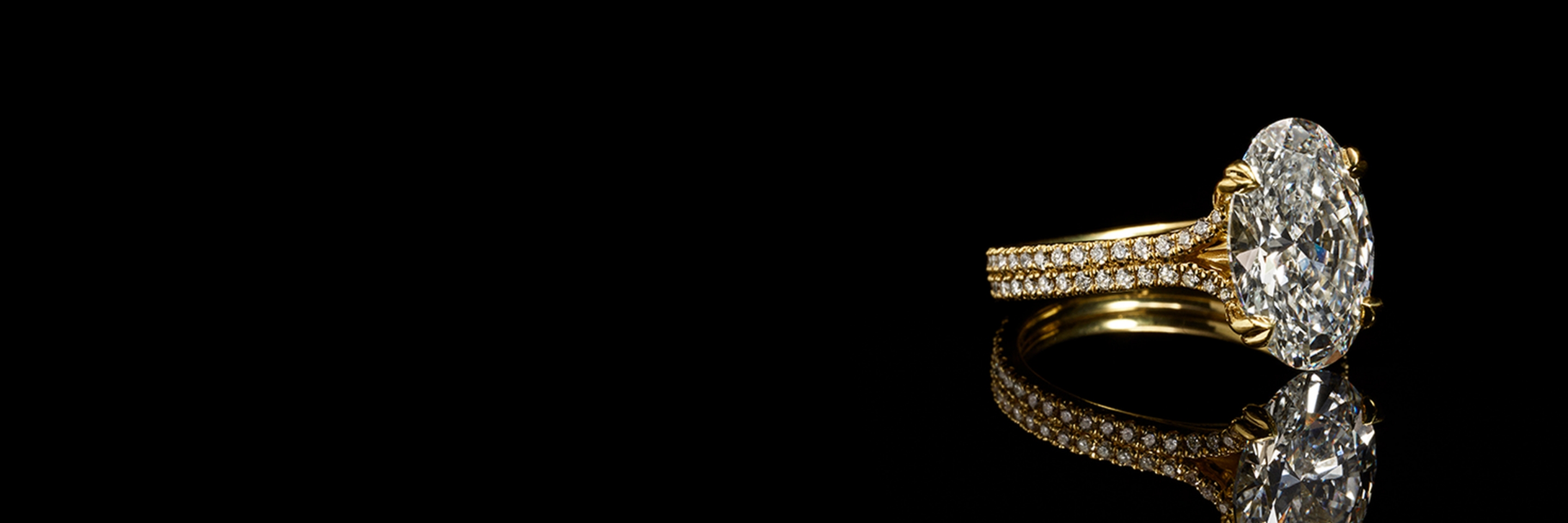 Lifetime Service Plan Benari Lifetime Service Plan